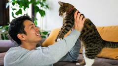 猫に「子どもみたいに」話しかけていますか？その結果こうなります
